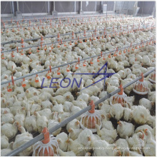 Automatic poultry farm equipment for chicken with CE